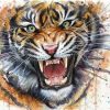 Splatter Tiger Paint By Numbers