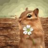 Squirrel with Flower Paint By Numbers