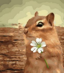 Squirrel with Flower Paint By Numbers