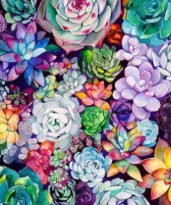 Succulent Garden Paint By Numbers