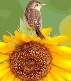 Sunflower And Bird Paint By Numbers