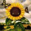 Sunflower And Butterflies Paint By Numbers