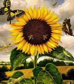 Sunflower And Butterflies Paint By Numbers