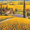 Sunflower Farm Paint By Numbers