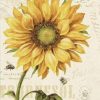 Sunflower and Bee Paint By Numbers