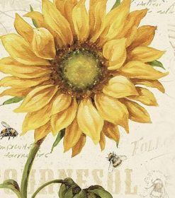 Sunflower and Bee Paint By Numbers