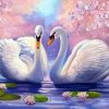 Swan Couple Paint By Numbers