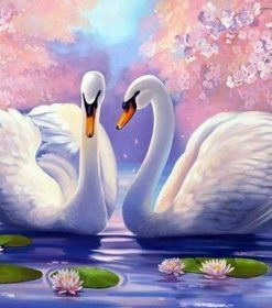 Swan Couple Paint By Numbers