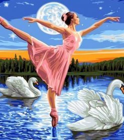 Swan and Ballerina Paint By Numbers