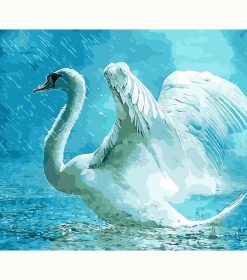Swan in Rain Paint By Numbers