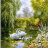 Swans in a Pond Paint By Numbers