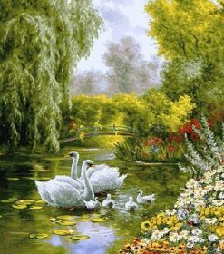 Swans in a Pond Paint By Numbers