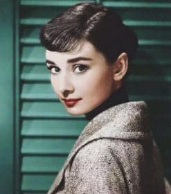Sweet Audrey Hepburn Paint By Numbers