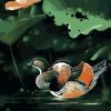 Swimming Mandarin Duck Paint By Numbers