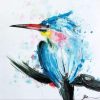 Tern Bird Paint by numbers