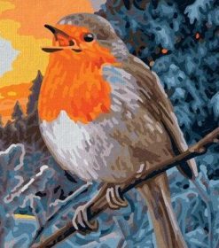 The European Robin Paint By Numbers