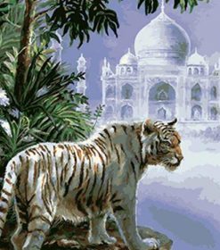 The Indian White Tiger Paint By Numbers