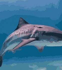 The White Shark Paint By Numbers
