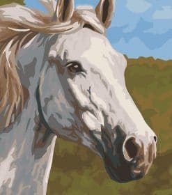 Thoroughbred White Horse Paint By Numbers