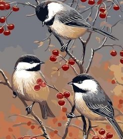 Three Birds Paint By Numbers