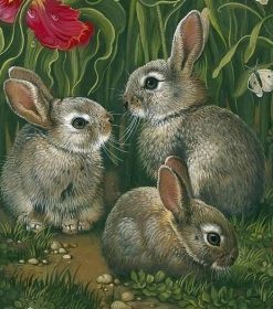 Three Grey Rabbits Paint By Numbers