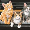 Three Kitten On Piano Paint By Numbers