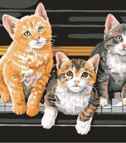 Three Kitten On Piano Paint By Numbers