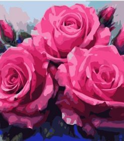 Three Pink Roses Paint By Numbers