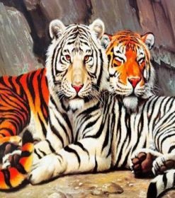 Tiger Couple Paint By Numbers