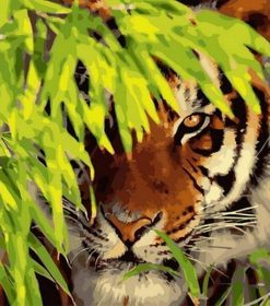 Tiger Hiding in Leaves Paint By Numbers