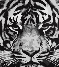 Tiger In Black And White Paint By Numbers