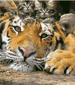 Tiger Kittens Paint By Numbers