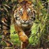 Tiger in The Bush Paint By Numbers