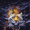 Tiger in Water Paint By Numbers