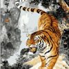 Tigers Chinese Ink Paint By Numbers