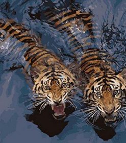 Tigers in The Water Paint By Numbers