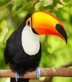 Toucan on a Branch Paint By Numbers