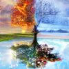Tree Through Four Seasons Paint By Numbers