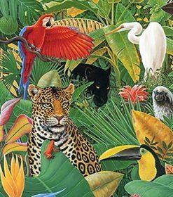 Tropical Animals Paint By Numbers