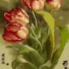 Tulip Flowers Paint By Numbers