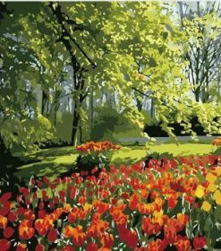 Tulips Spring in Garden Paint By Numbers