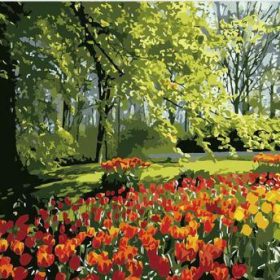 Tulips Spring in Garden Paint By Numbers