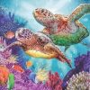 Turtle Family Undersea Paint By Numbers