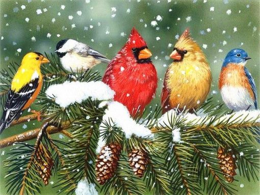 Winter Birds Paint By Numbers