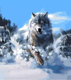 Wolf Pack in Snow Paint By Numbers