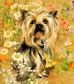 Yorkshire Terrier Paint By Numbers