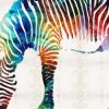 Zebra Animals Paint by numbers