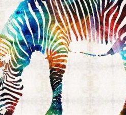 Zebra Animals Paint by numbers