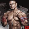 John Cena Sports Painting by numbers