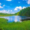 Kleiner Arbersee Lake NEW Painting by numbers